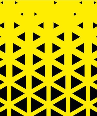 bannière zénith de Nancy